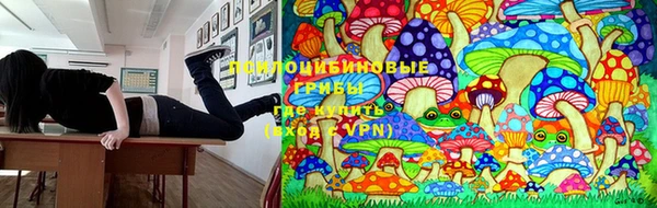 кокаин премиум Беломорск