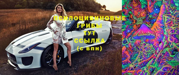прущий лед Белокуриха