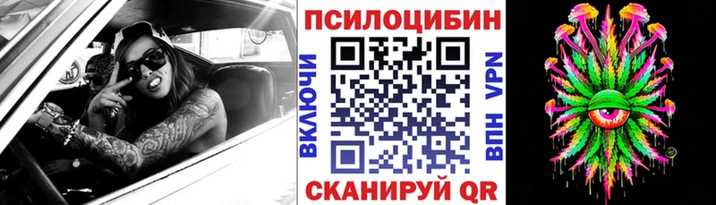 Псилоцибиновые грибы Cubensis  магазин  наркотиков  Лабинск 